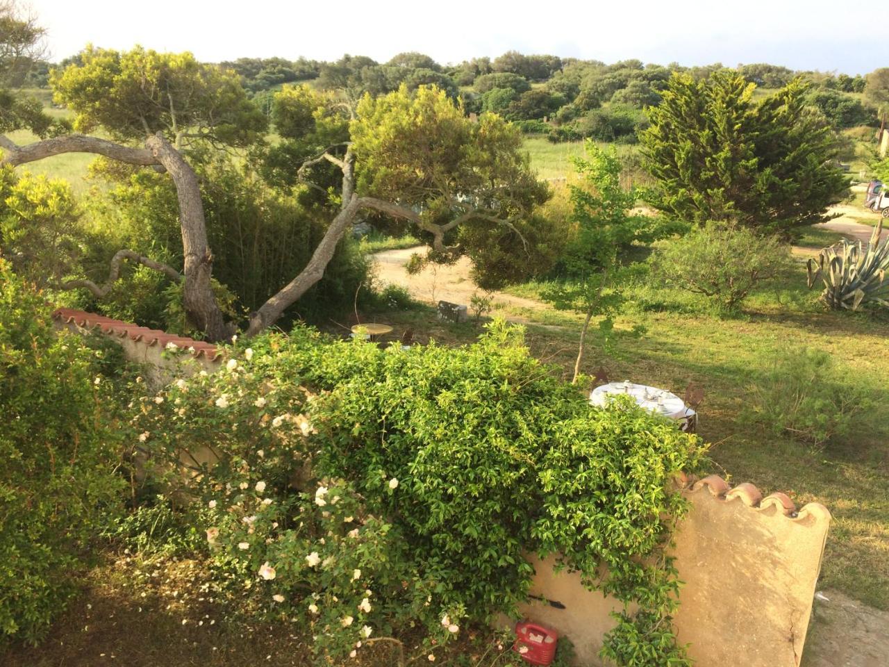 A Loghja Di Cavallo Morto Bonifacio (Corsica) Exterior foto