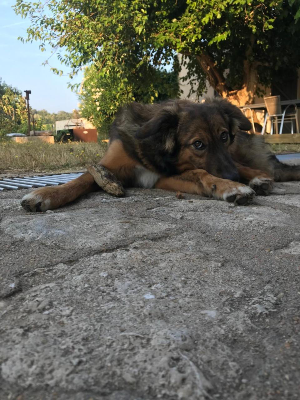 A Loghja Di Cavallo Morto Bonifacio (Corsica) Exterior foto