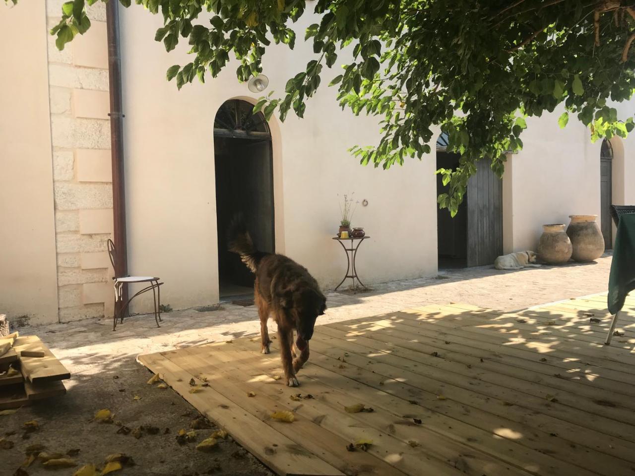 A Loghja Di Cavallo Morto Bonifacio (Corsica) Exterior foto
